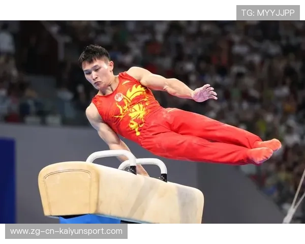 体操鞍马选手全程稳定无明显瑕疵